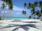 PalmStoneIsl@MahoSaltyFreinds2008